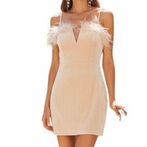 Superdown Champagne Mini Dress with Feather Accents